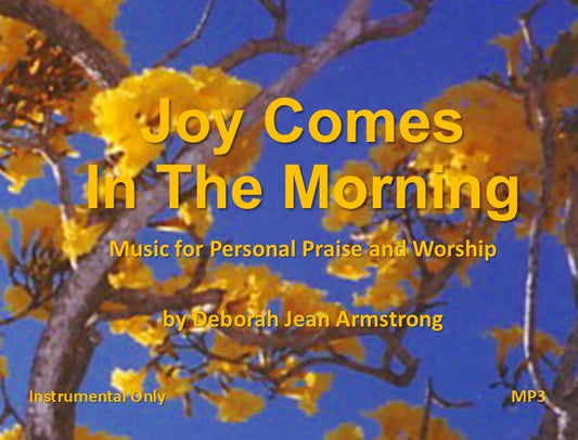 Joy Comes In The Morning - Instrumental Only - MP3